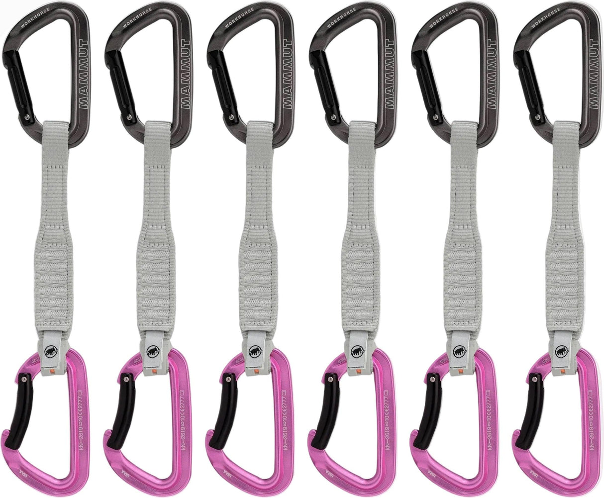 MAMMUT WORKHORSE Keylock 17cm Quickdraws