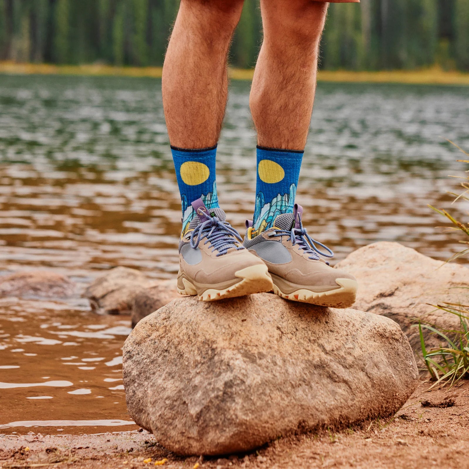 SMARTWOOL Hike Mountain Myth Print Socks