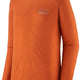 PATAGONIA Men's Long Sleeve Cool Merino Graphic Shirt