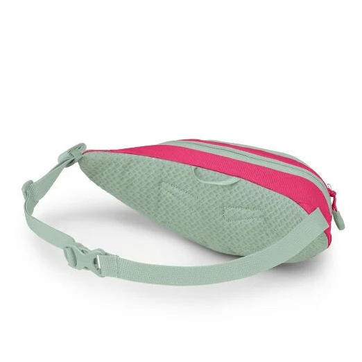 OSPREY Daylite Mini Waist Pack