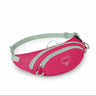 OSPREY Daylite Mini Waist Pack