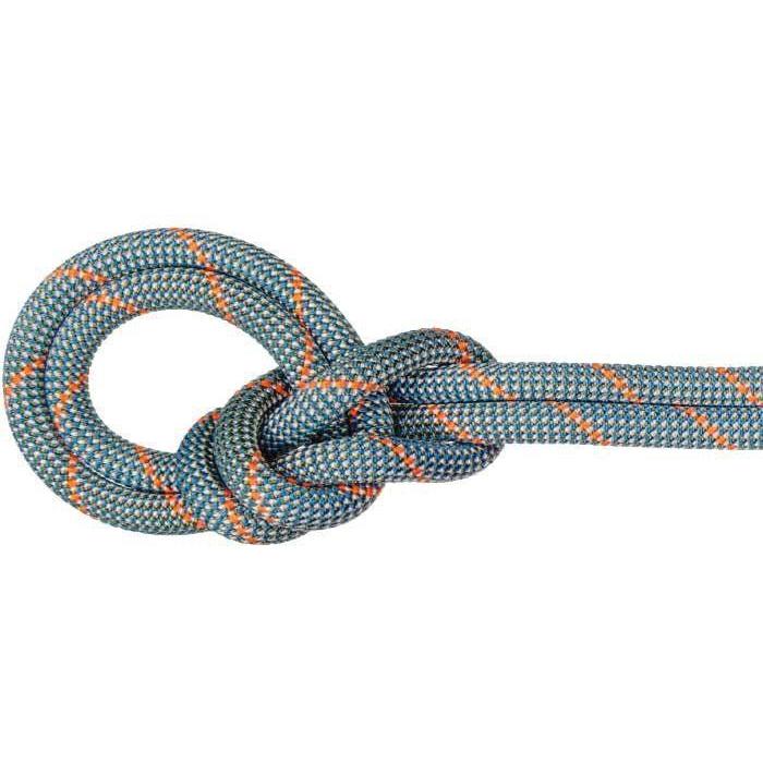 MAMMUT 9.9 Crag WORKHORSE DRY Rope