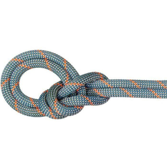 MAMMUT 9.9 Crag WORKHORSE DRY Rope