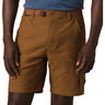 PRANA Men's Stretch Zion Short II (10" Inseam)