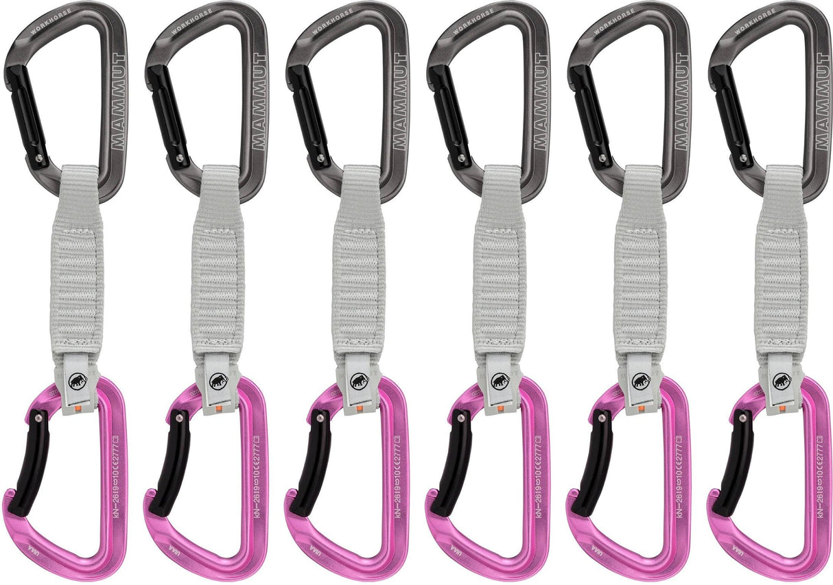MAMMUT WORKHORSE Keylock 12cm Quickdraws