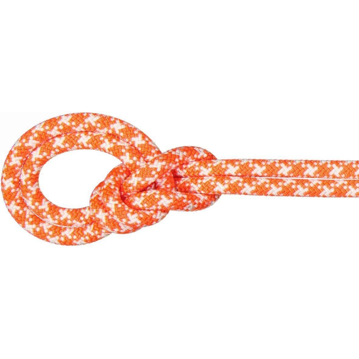 MAMMUT 9.5 Crag CLASSIC Rope