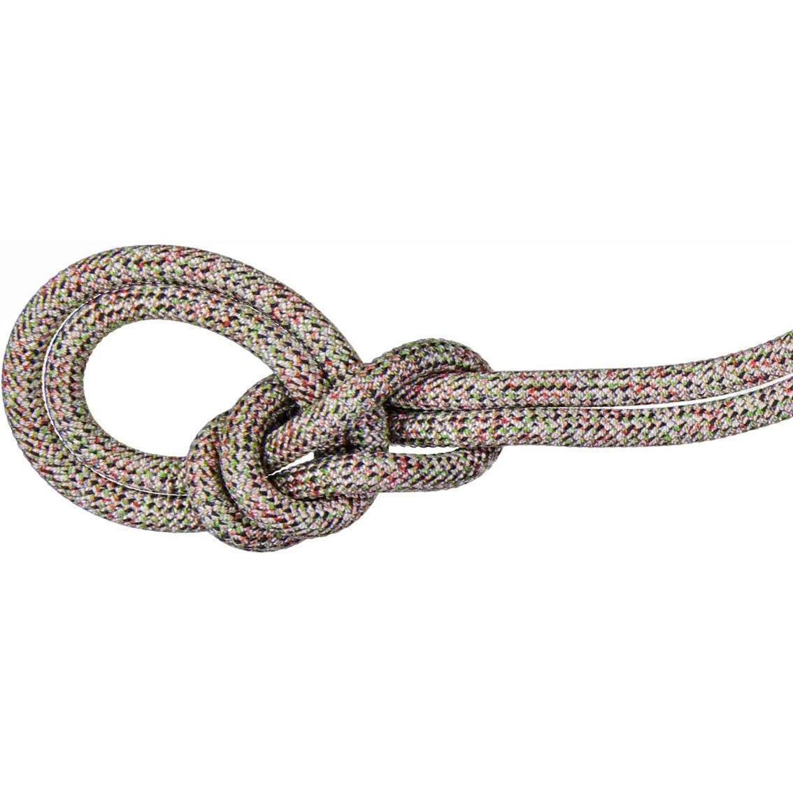MAMMUT 9.5 Crag WE CARE CLASSIC Rope