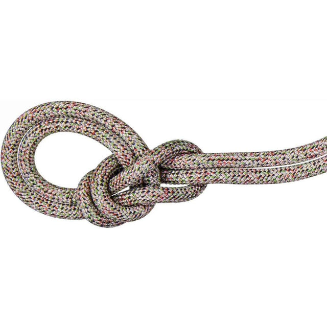 MAMMUT 9.5 Crag WE CARE CLASSIC Rope