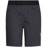 LA SPORTIVA Men's Shorts Roots