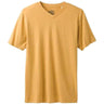 PRANA Men's V-Neck Shirt