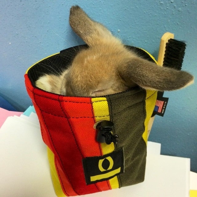 Organic Climbing XL Chalk Bag with Brush