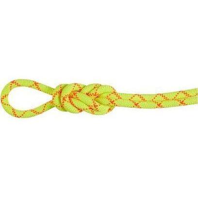 MAMMUT Alpine Core Protect Dry 9.5 Rope